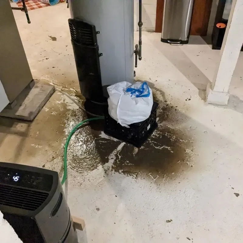 Sewage Backup Cleanup Service in Gridley, CA